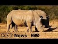 Selling the Rhino in South Africa: VICE News Tonight on HBO