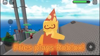 Fries plays roblox! (Sry guys if it looks bad I was just lazy:(