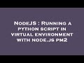 NodeJS : Running a python script in virtual environment with node.js pm2
