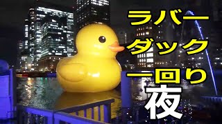 ラバーダック　一回り　夜、