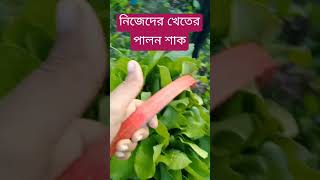 গ্রাম মানেই টাটকা শাকসবজি কি বলেন আপনারা #vairalvideo #foryou #foryouyoutube #youtubeshorts