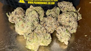 Blue Nerds Strain Review