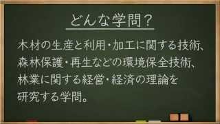 学問分野紹介【林学篇】～大学・専門など進路選びに役立つ動画