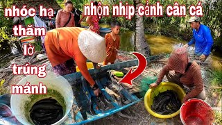 Không thể tin nơi này đặt lờ nhiều cá đến vậy