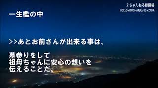 【復讐】中学でイジメの標的に…それに気づいた祖母「お前を苦しめたやつはバアちゃんが懲らしめてやる」→数年後、発覚した祖母の復讐が衝撃的すぎた…