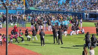 2024.11.30 東京ヤクルトスワローズファン感謝デー 綱引き対決