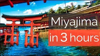 How to enjoy Miyajima within 3 hours under ¥3,000!