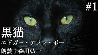 #1【朗読】『黒猫(THE BLACK CAT)』エドガー・アラン・ポー Edgar Allan Poe [Japanese Read Aloud] 朗読：森川弘一