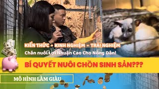 Bí Quyết Chăn Nuôi Chồn Sinh Sản Hiệu Quả: Lợi Nhuận Cao Cho Nông Dân! | Trang Trại Quang Đức