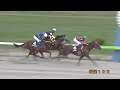 【第25回 あすなろ賞 m3 】 2024 5 26 盛岡競馬場 優勝馬 スズカゴウケツ号