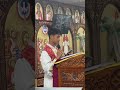 a blessing to read the gospel at st.meena coptic orthodox church