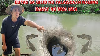 Butas na malaki sa Palaisdaan Naging bahay ng mga naglalakihang isda