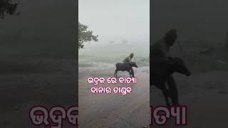 ଭଦ୍ରକ ରେ ବାତ୍ୟା ଦାନା ର ତାଣ୍ଡବ #trending #shortvideo #jayjagannath #bhadrak