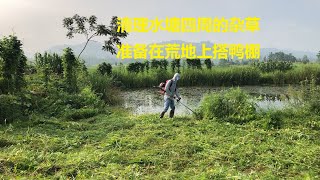 清理水塘四周的杂草 准备在荒地上搭鸭棚 |农场更新 Farm update