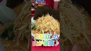 【ラーメン山岡家】大好きな特製味噌に背脂＋して美味さ爆上がり✨白髪ネギや海苔の豪華なトッピングで満足度120%♪【岐阜 ラーメン】