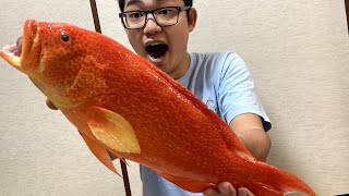 【シガテラ】流通禁止の毒魚バラハタを食べた結果…【奄美大島爆釣後編】