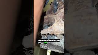 The Mechanic Hack No One Talks About Mechanic