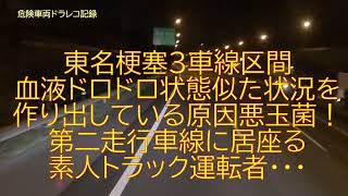 東名梗塞3車線区間の血液ドロドロ状態・原因悪玉菌・・・！