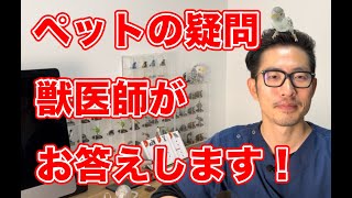 【ライブ配信】獣医師が質問なんでも答えます！なんの動物さんでも大丈夫です。2025年1月10日20時～21時予定