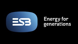 ESB Annual Report 2014