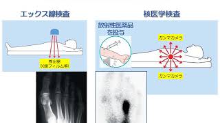 保健学科放射線技術科学専攻概要説明