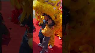 The standout performer in the lion dance troupe 舞狮队里的显眼包