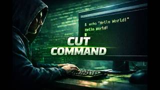 BASH from beginner to advanced: Solutions to Hackerrank Challenges - Episode 15: Cut Command