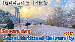 Snowy day at Seoul National University, Korea travel 4khdr