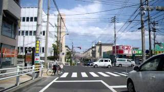 紫原の桜並木（4） 2011年4月6日