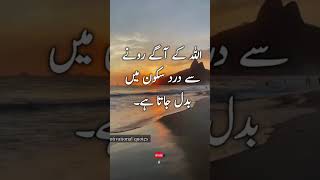 Sad but true quotes about life | deep thoughts in urdu | Motivational quotes | heart touching lines