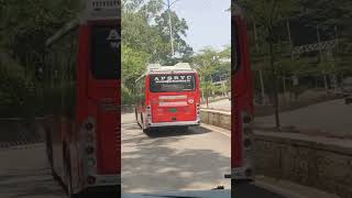 Thirupathi ROAD BEST viewed videos ❤️❤️❤️#thirupathi #thirupathiswamy #thirupathiroad