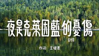 蓝心羽-《夜是克莱因蓝的忧伤》【黄昏落入深渊 向无人处开 在夜里听海该是随风旋转 手臂轻张开 克莱因蓝的伤 借救赎惩处 好似无恙】【歌词视频 Lyrics Video】#华语流行 #音樂