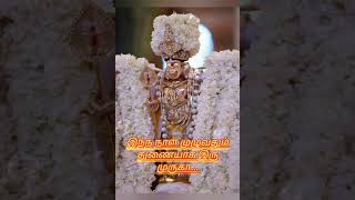 முருகா இந்த நாள் முழுவதும் துணையாக வரணும் #shortsfeed #devotional #god#life #motivation #bakthi#god