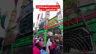 The top mosque in Tamilnadu |Tamilnadu church #shortvideo#muslim#vira#india#malayalam