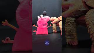 Peppa Pig ASMR Mukbang Eating Pink 🐖 Turtle Tortoise