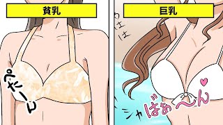 【漫画】貧乳女子あるある話５選 ！巨乳には理解不能！？（あるある話）【マンガ動画】