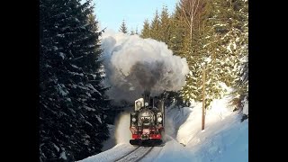 Winterdampf bei der Preßnitztalbahn. 99 1590-1 im Winterwald. Sonntag, 29. Januar 2017