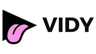 VIDY ОБЗОР ПРОЕКТА