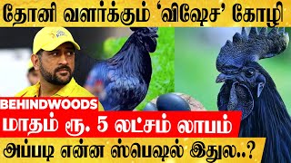 'கூல் கேப்டன்' ஆர்டர் செய்த 2000 கோழி குஞ்சு..! அப்படி என்ன ஸ்பெஷல் இதுல..?