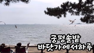 @궁평항 솔밭.민박.차박.서해바다 힐링.유스호스텔  짓고 있나봐요~야호!!