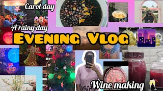 Vlog:1 EVENING VLOG || WINE MAKING || CAROL DAY || MALAYALAM VLOG #mithurithu