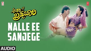 Nalle Ee Sanjege Song | Aahaa Brahmachari Kannada Movie |Anil Arthi | Raj-Koti |KV Reddy,Sri Chandru