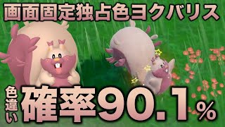 【画面固定!!色厳選】ヨクバリス編!!【ポケモンSV/スカーレット・バイオレット】