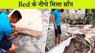 10 Strange Things Found In Unexpected Places | अप्रत्याशित स्थानों पर मिलीं सबसे अजीब चीजें