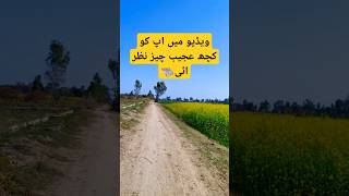 اس ویڈیو میں کچھ عجیب ہے