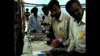 Vote counting the old fashioned way in India, pre EVM's