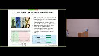 Robert Schmitz: Systematic discovery of gene regulatory elements using chromatic structure ...