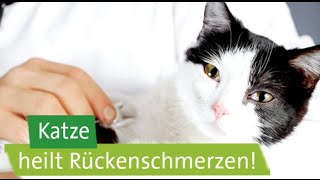 Katze heilt Rückenschmerzen!