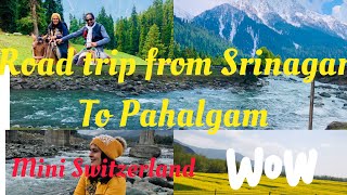 ಶ್ರೀನಗರದಿಂದ ಪಹಲ್ಗಾಮ್ ಒಂದು ಸುಂದರ ಪಯಣ/Kannada vlog/ROAD TRIP FROM SRINAGAR TO PAHALGAM /KASHMIR