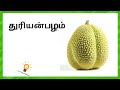 பழங்கள் தமிழ் பெயர்கள் fruits name in tamil pazhangalin peyargal learn fruits name